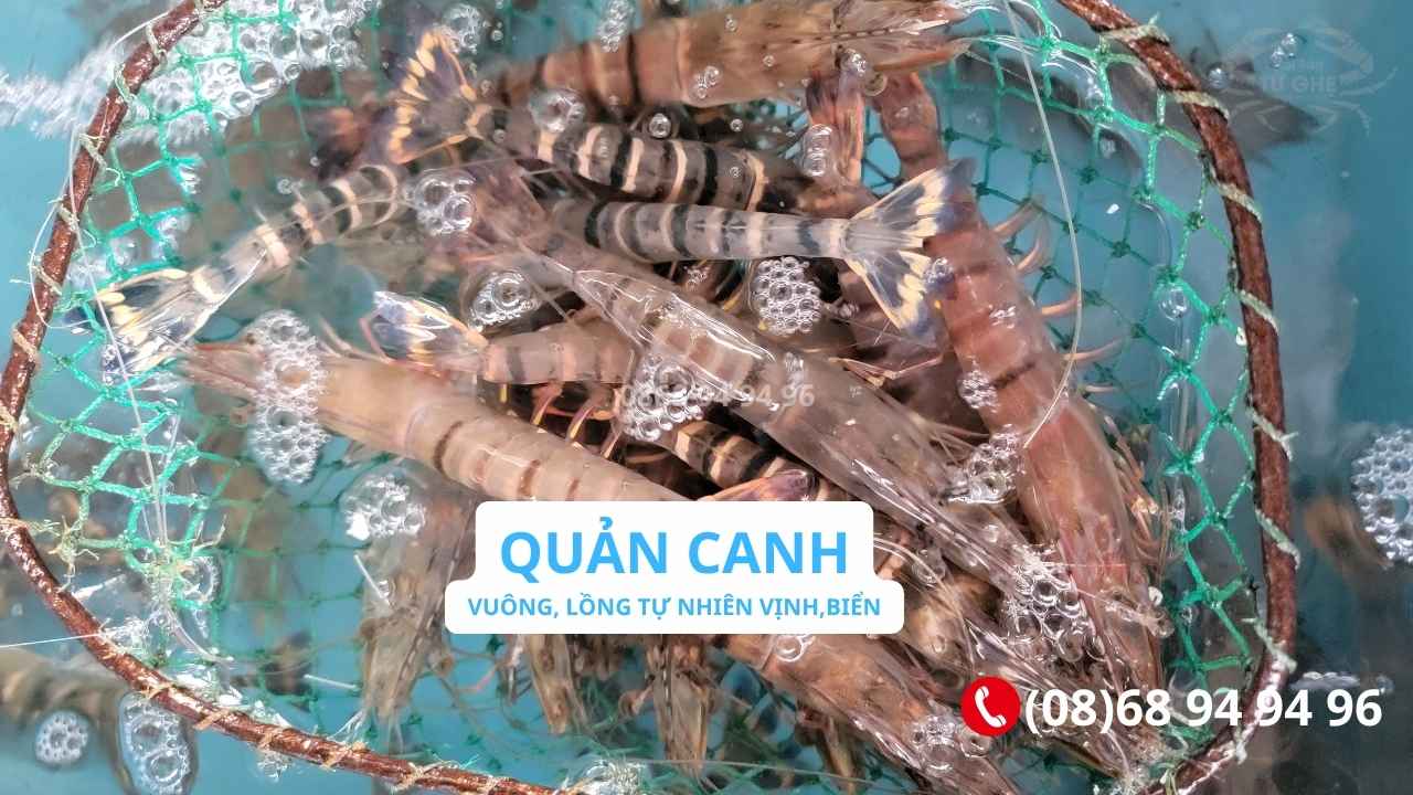 tom su quang canh tu nhien